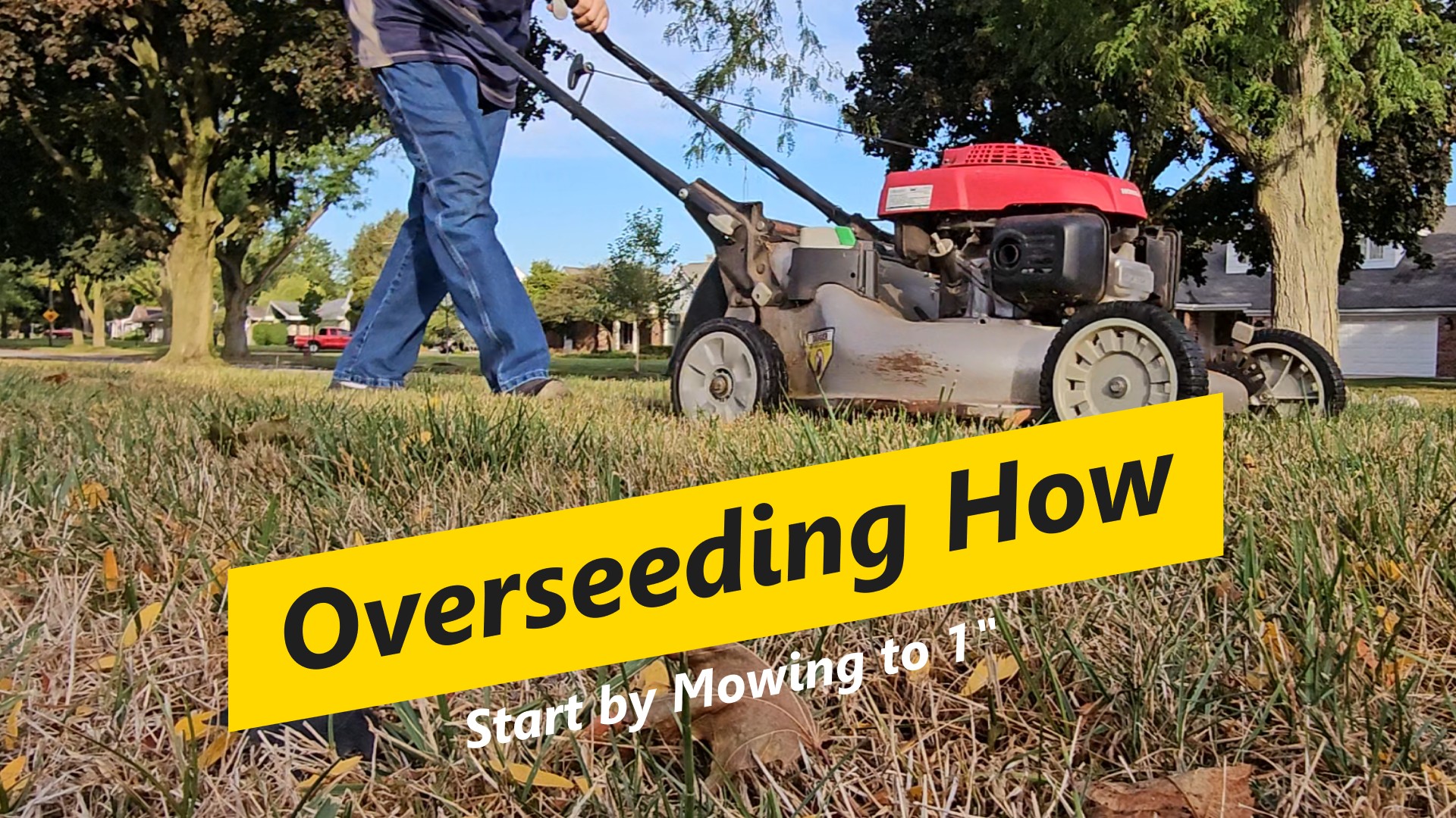 Mow the lawn short. 