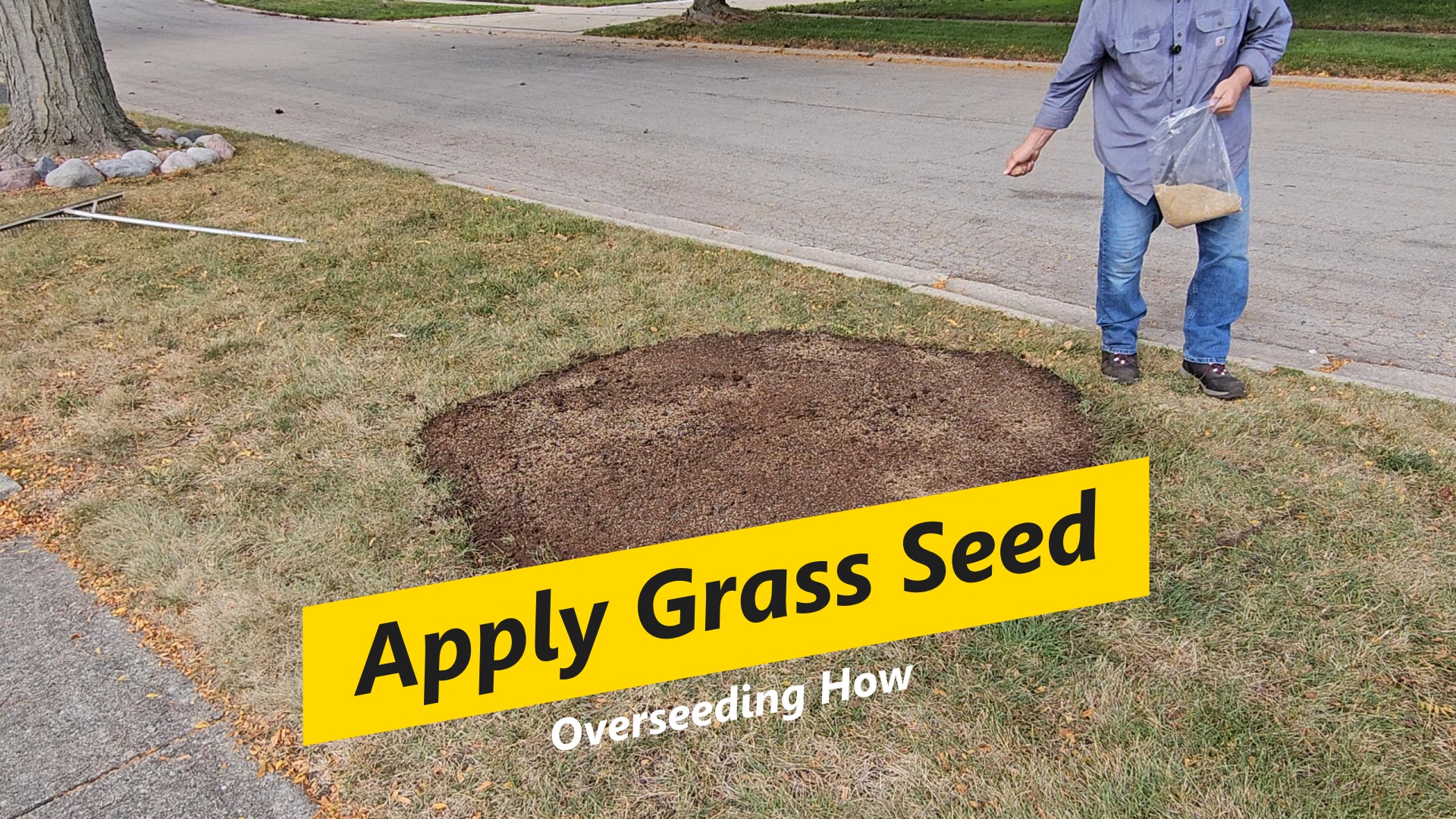 Apply grass seed.