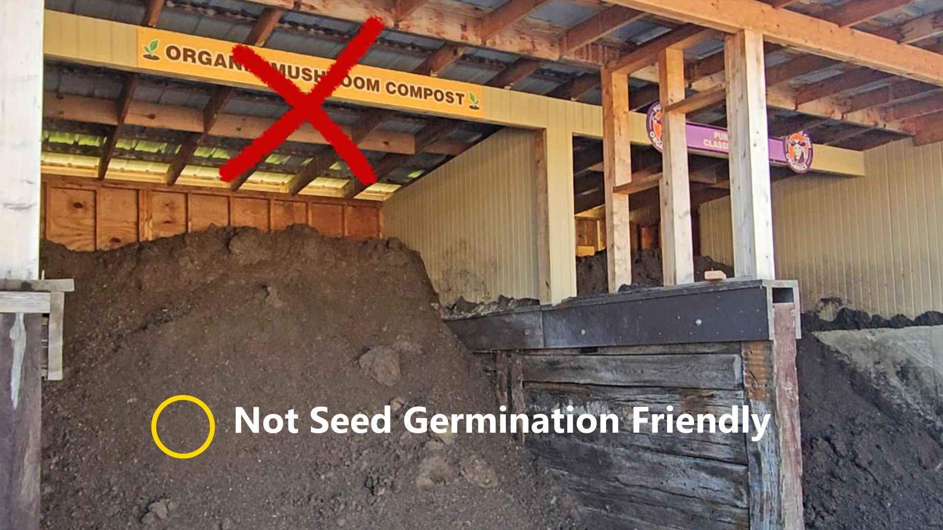 Avoid using Mushroom Compost for seed-germination projects.
