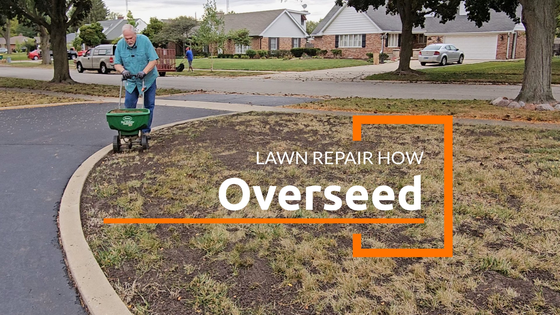 Apply grass seed.