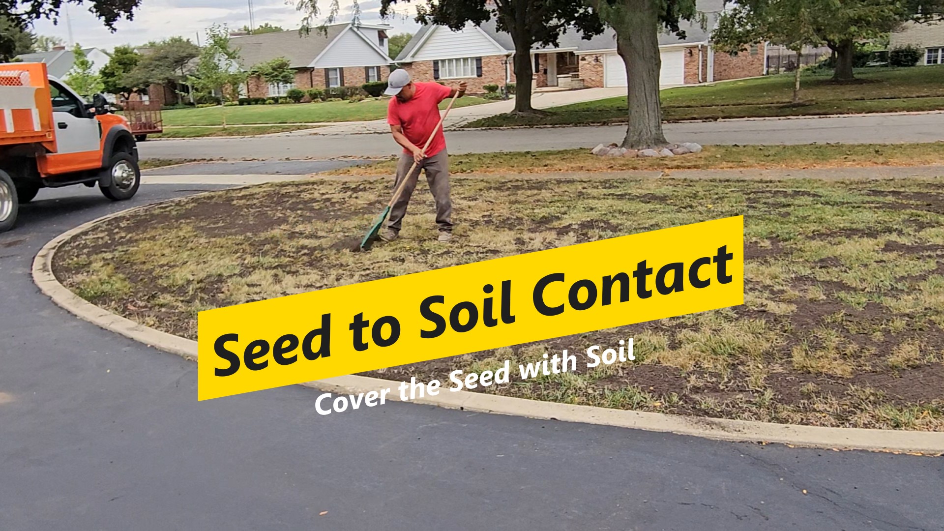 Rake in for good seed-to-soil contact.