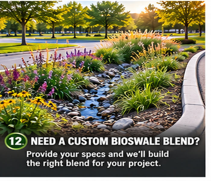Need a Custom Bioswale Blend?