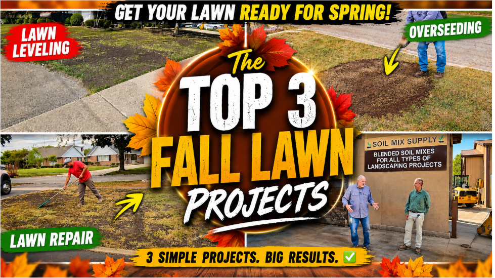 The Top 3 Fall Lawn Renovation Projects