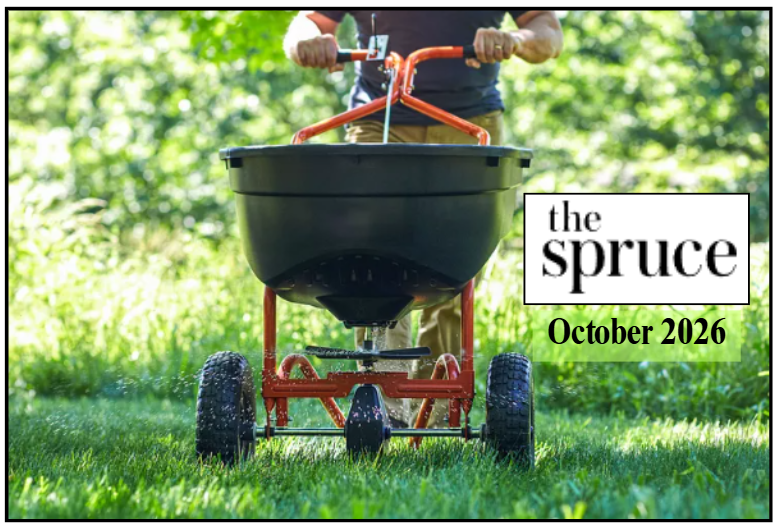 October edition of the Spruce